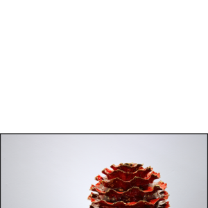 Hanne Lysdahl Christiansen