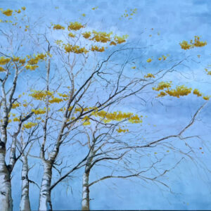 Anne Mette Harkes
