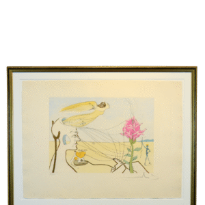 Salvador Dalí grafik